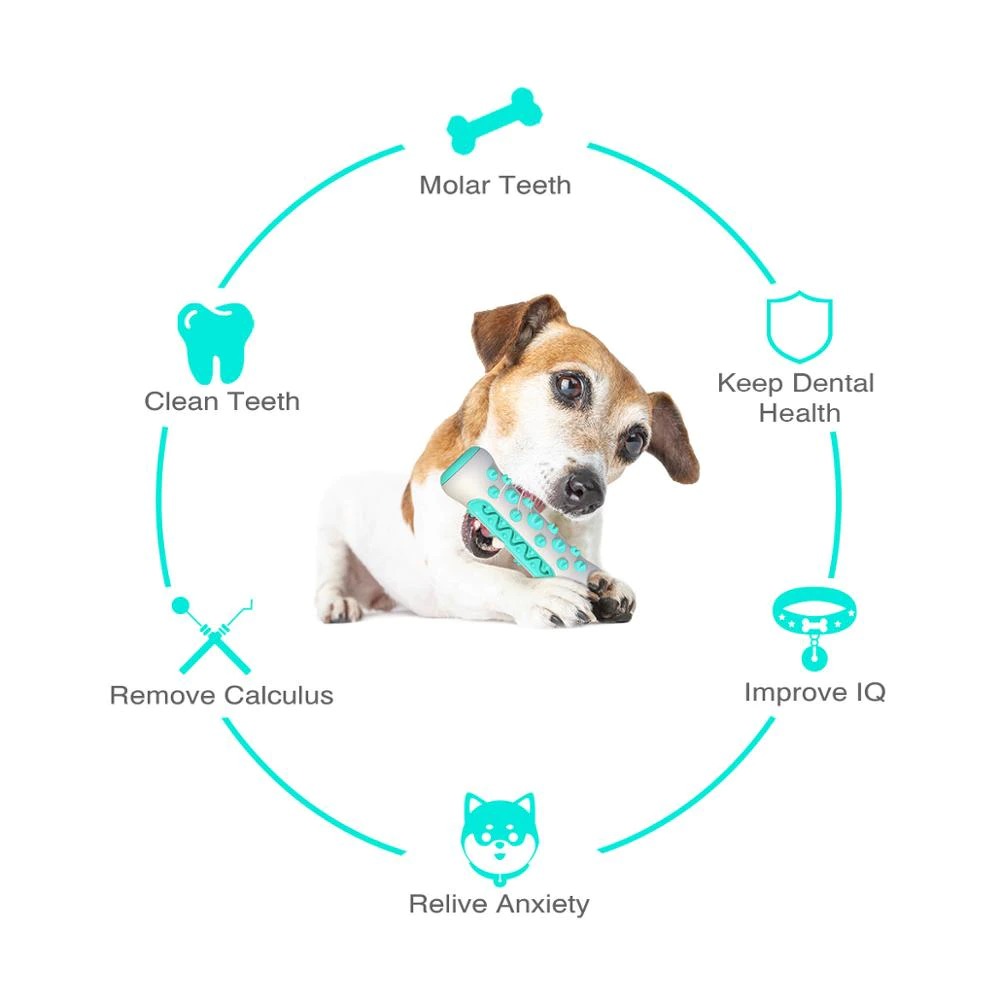Squeaky Toys For Aggressive Chewer Pets